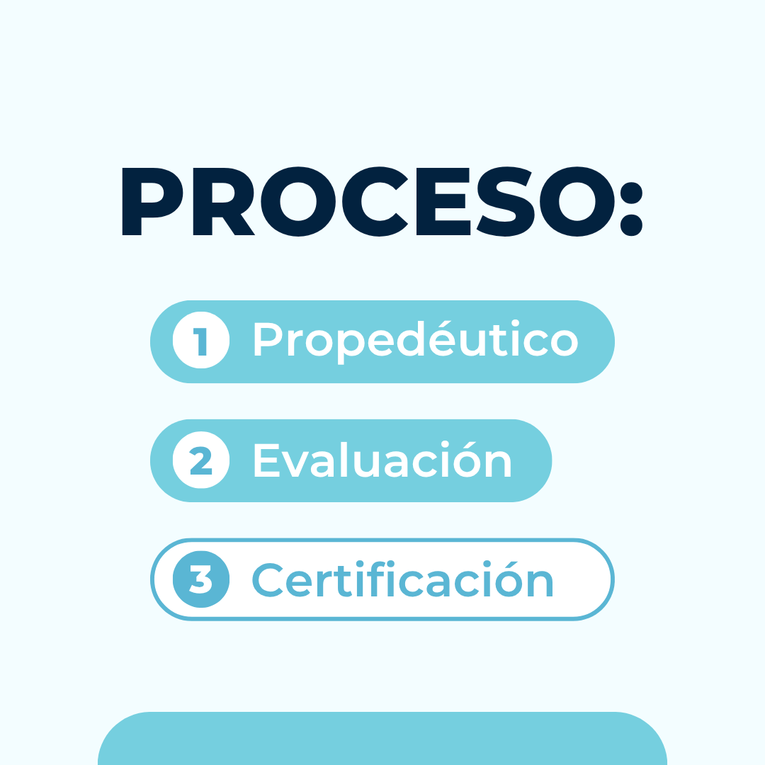 Técnicas Físicas, Mentales y Artísticas para el Desarrollo de Habilidades Socioemocionales
